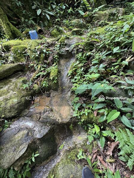 For Sale - Janda Baik Bentong Pahang Bungalow Lot For Sale.