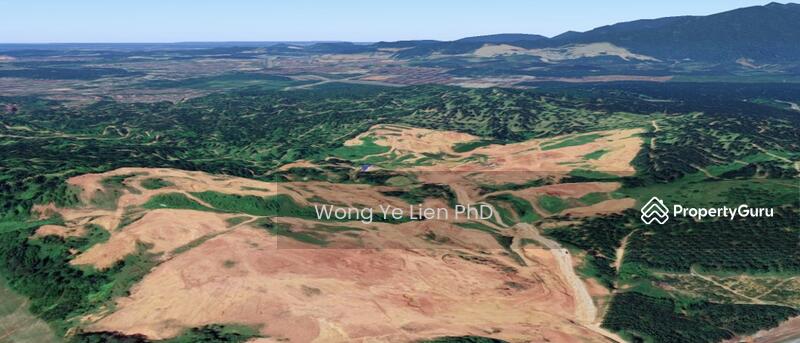 www.drwongproperty.com