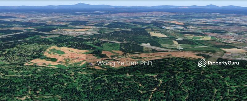 www.drwongproperty.com