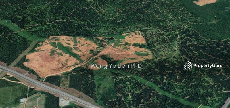 www.drwongproperty.com