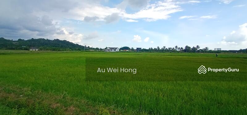 For Sale - Paddy Field for Sale @ Permatang Pauh