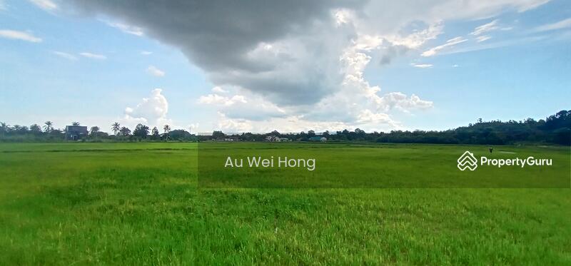 For Sale - Paddy Field for Sale @ Permatang Pauh
