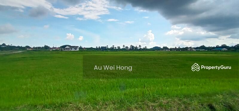 For Sale - Paddy Field for Sale @ Permatang Pauh