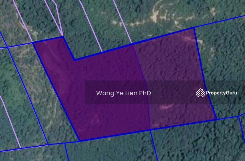 www.drwongproperty.com