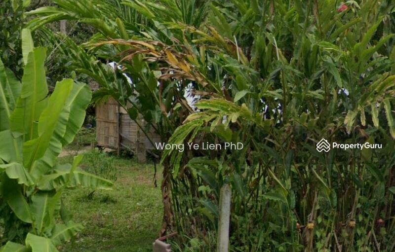 www.drwongproperty.com