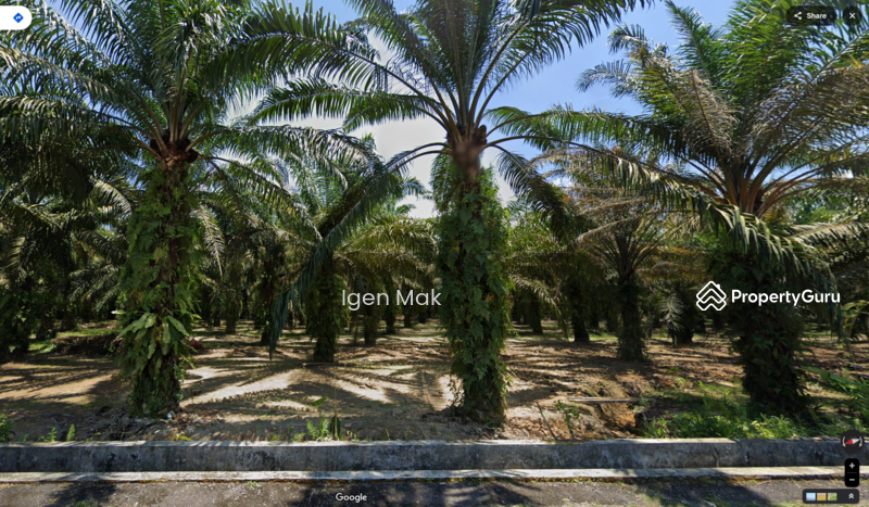 For Sale - Bidor