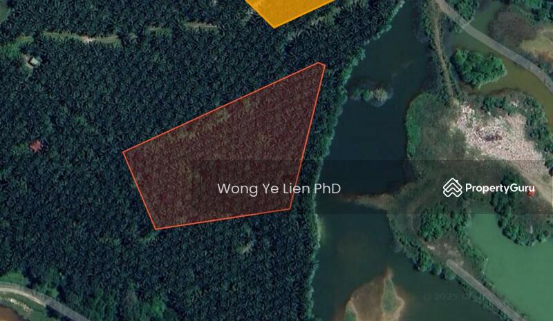 www.drwongproperty.com