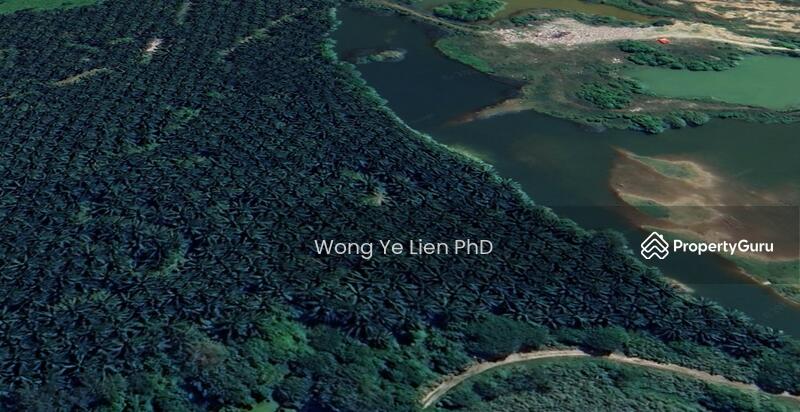 www.drwongproperty.com