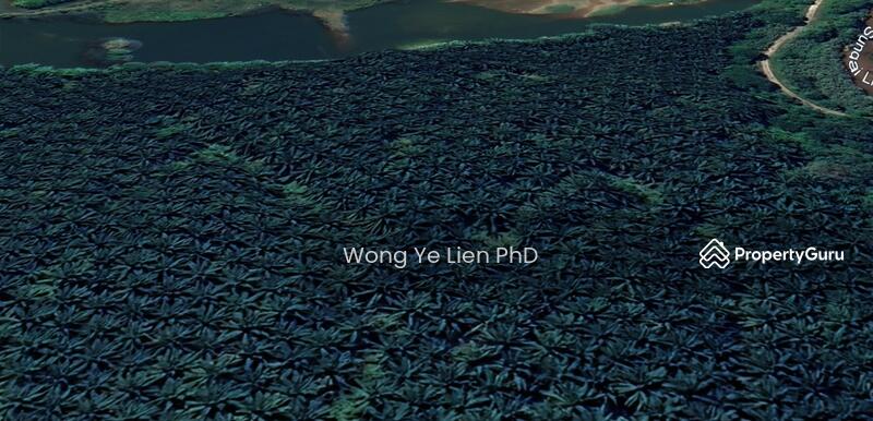 www.drwongproperty.com