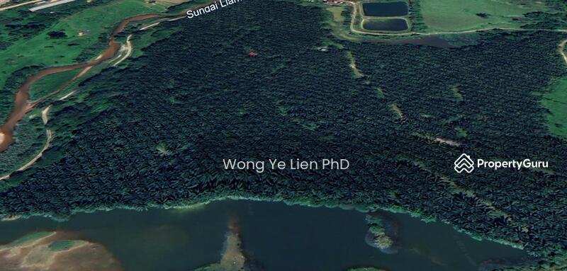 www.drwongproperty.com