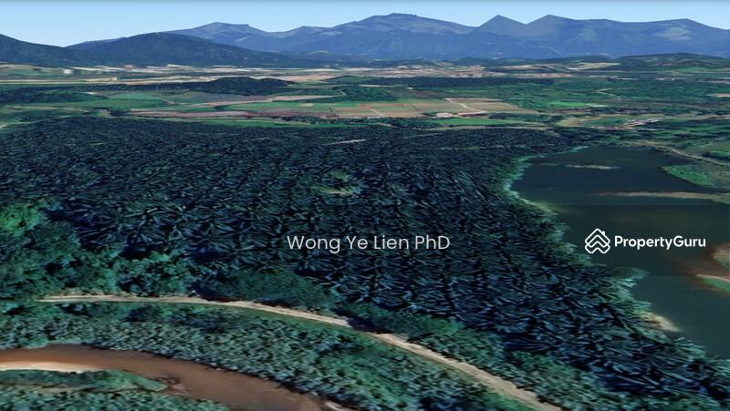 www.drwongproperty.com