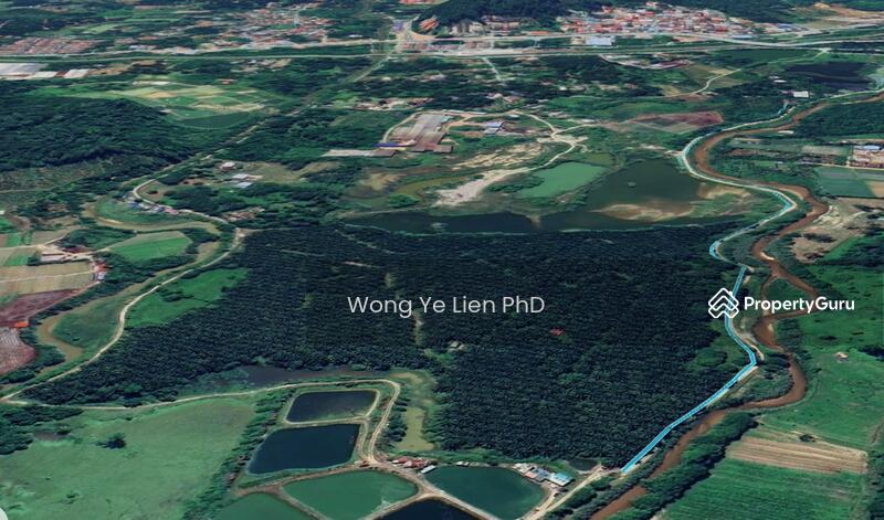 www.drwongproperty.com
