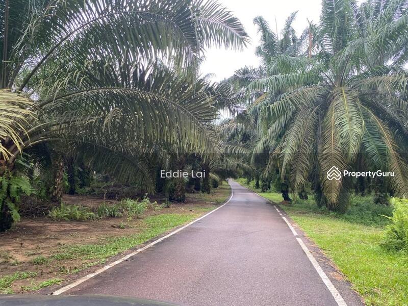 Tanah Pertanian untuk Dijual di Felda Ayer Hitam (Kluang) - Eddie Lai - PropertyGuru.com.my