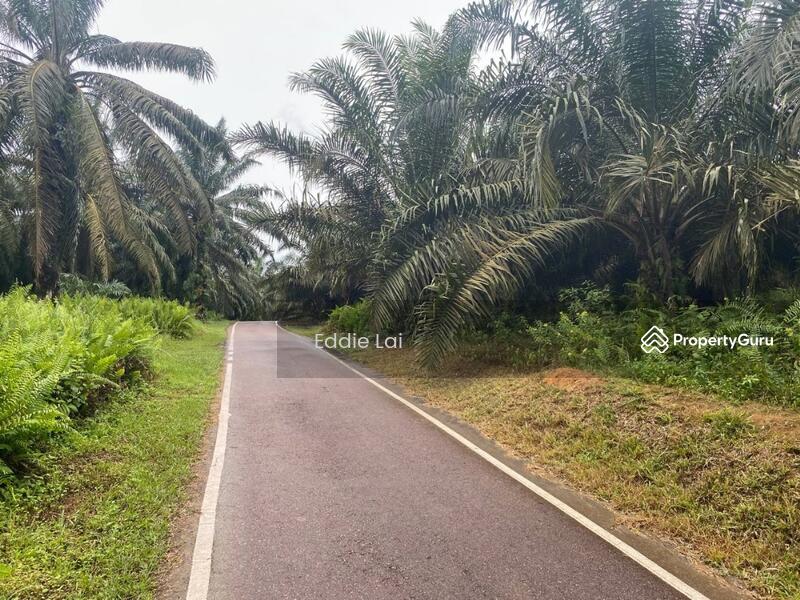 Tanah Pertanian untuk Dijual di Felda Ayer Hitam (Kluang) - Eddie Lai - PropertyGuru.com.my