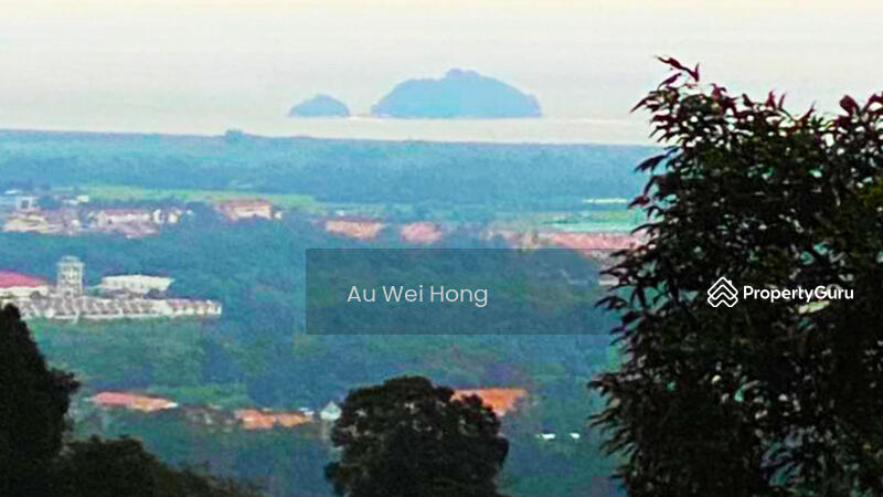 Untuk Dijual - Hillside Durian Farm for Sale @ Balik Pulau