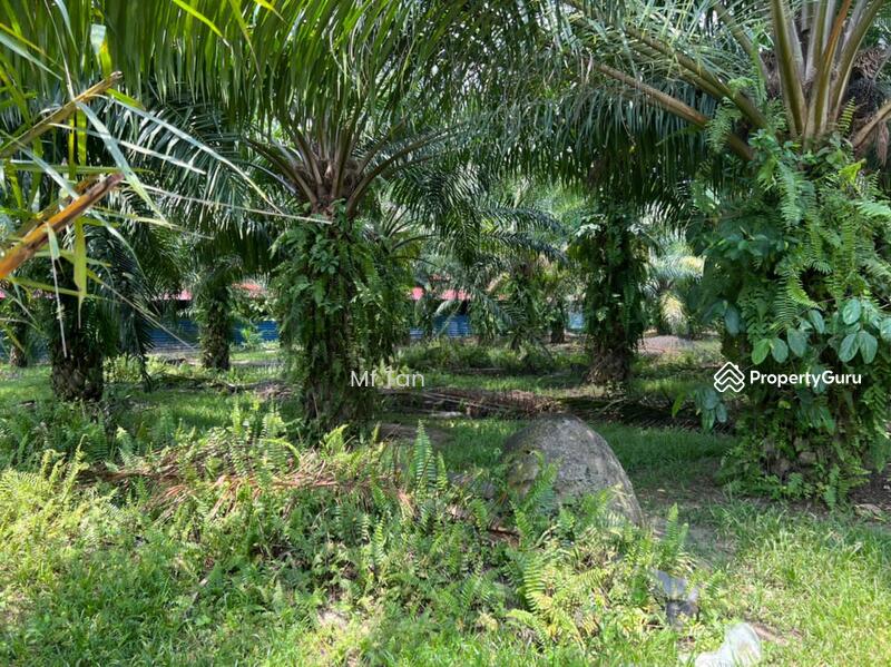 Untuk Dijual - Agriculture Land @ Kota Warisan, Dengkil, Sepang for SALE