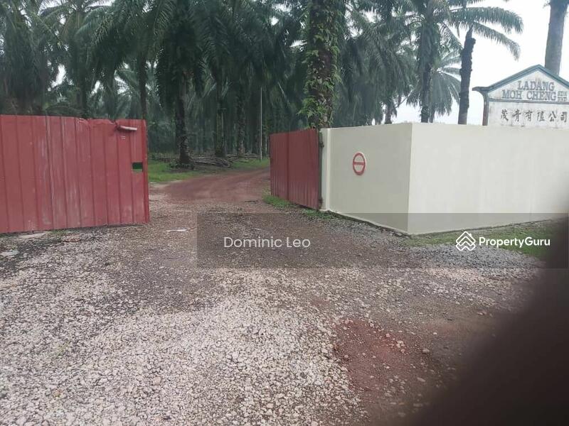 For Sale - Agriculture land at Bandar Sungai Siput