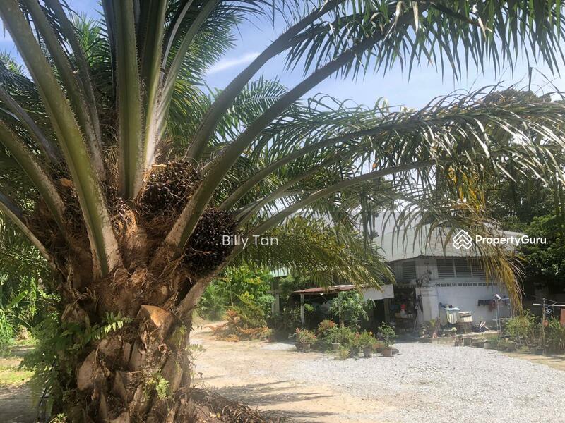 For Sale - Padang Gajah, Trong