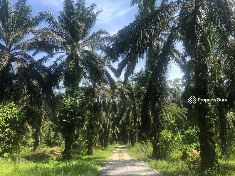 For Sale - Padang Gajah, Trong