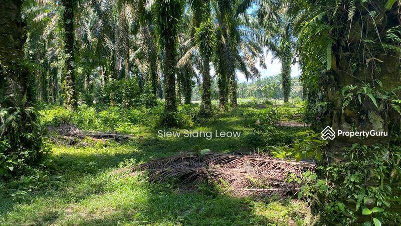 Untuk Dijual - Air Kuning
