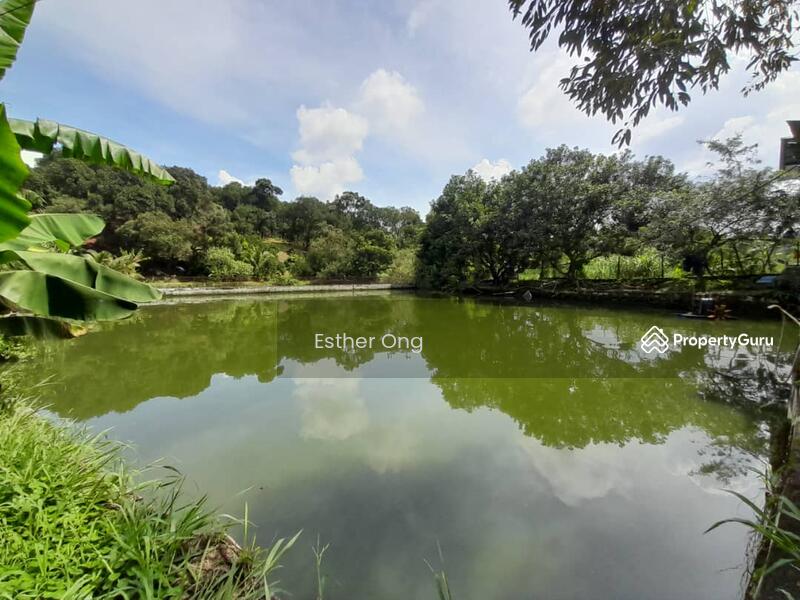 Untuk Dijual - Hulu Langat Fish Ponds