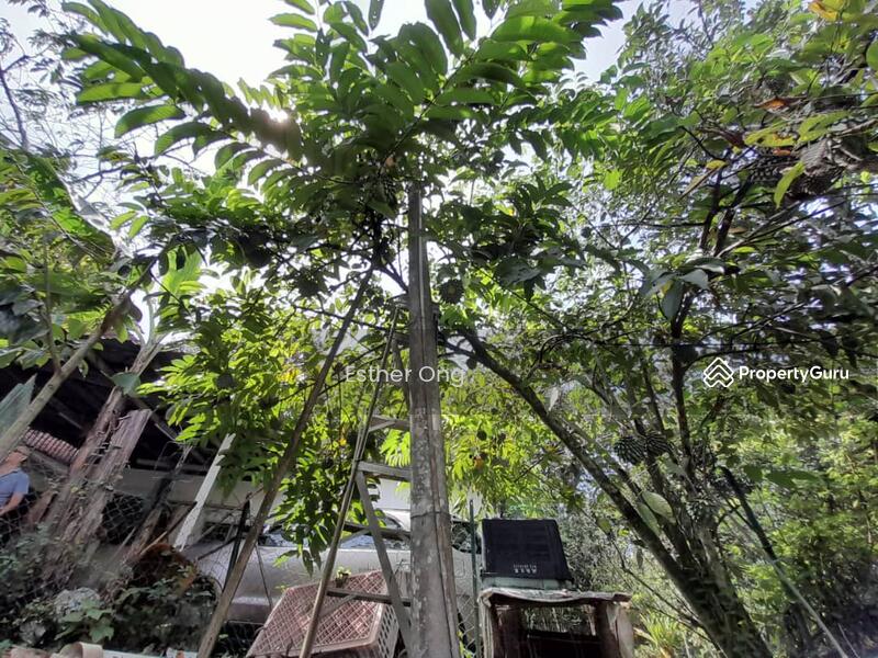 Untuk Dijual - Hulu Langat Fish Ponds
