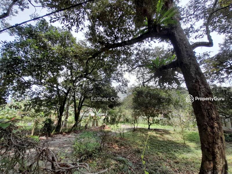 Untuk Dijual - Hulu Langat Fish Ponds