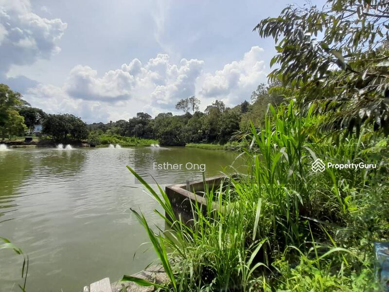 Untuk Dijual - Hulu Langat Fish Ponds