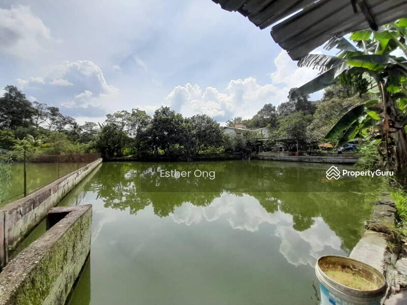 Untuk Dijual - Hulu Langat Fish Ponds
