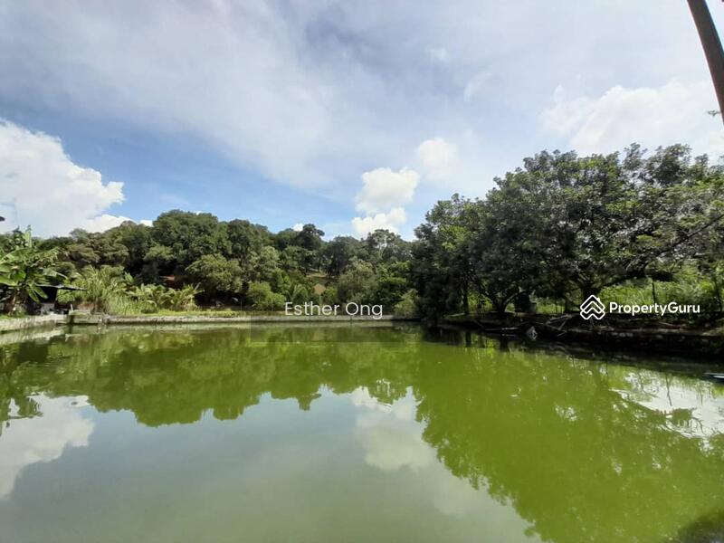 Untuk Dijual - Hulu Langat Fish Ponds