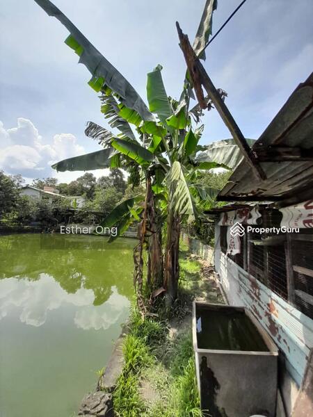 Untuk Dijual - Hulu Langat Fish Ponds