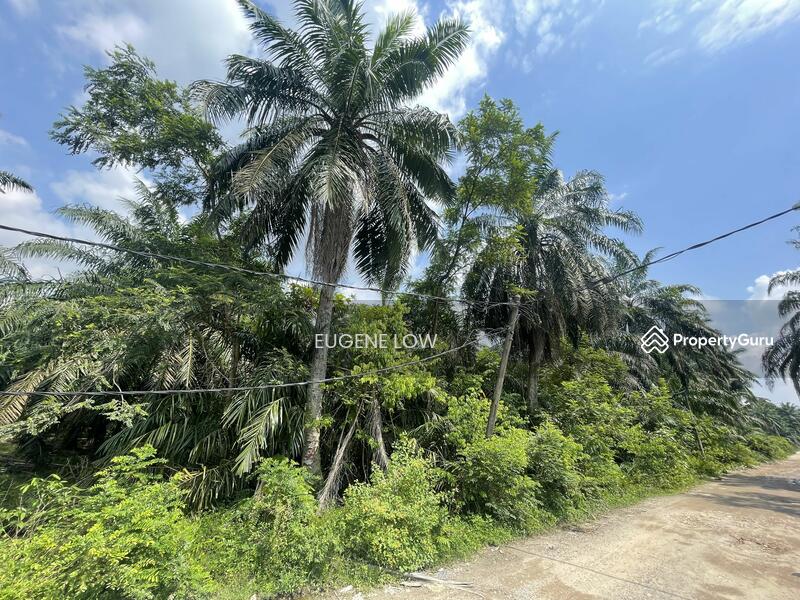 For Sale - Meru