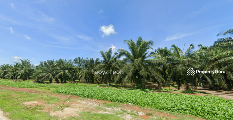 Untuk Dijual - Industrial Zone Land (s), Jalan Changkat & Byram, Nibong Tebal, Penang
