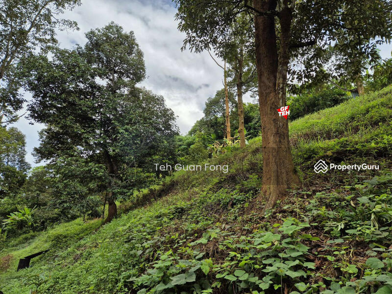 Untuk Dijual - 4.7 Acres | Old tree durian farm | Lenggong | Perak Rm5.76psf b k