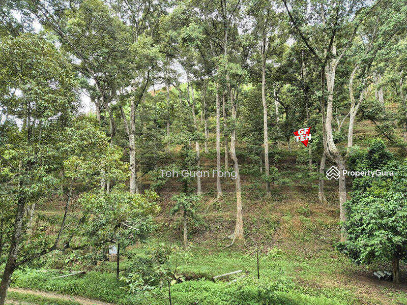Untuk Dijual - 4.7 Acres | Old tree durian farm | Lenggong | Perak Rm5.76psf b k