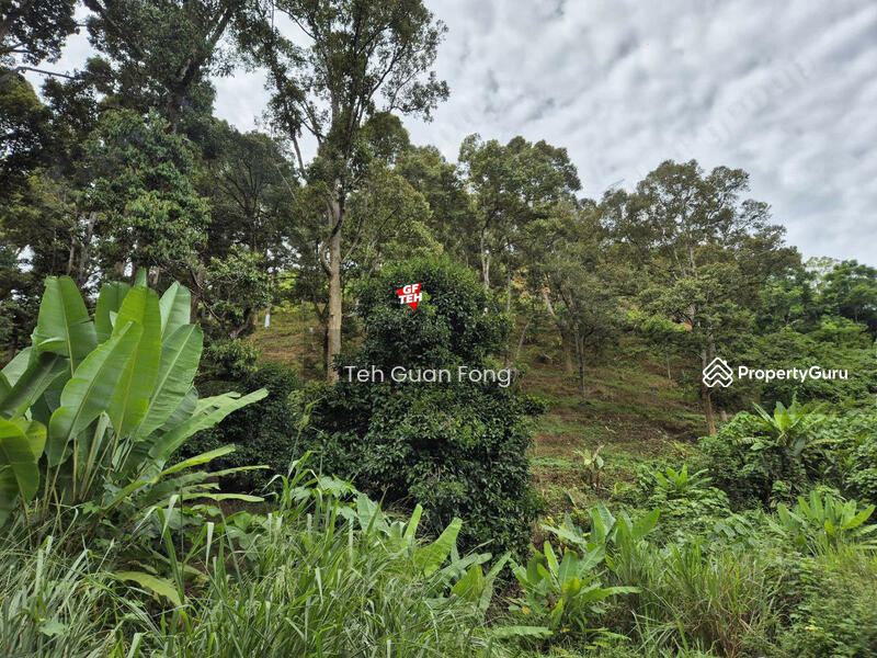 Untuk Dijual - 4.7 Acres | Old tree durian farm | Lenggong | Perak Rm5.76psf b k