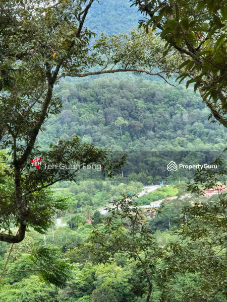 Untuk Dijual - 4.7 Acres | Old tree durian farm | Lenggong | Perak Rm5.76psf b k