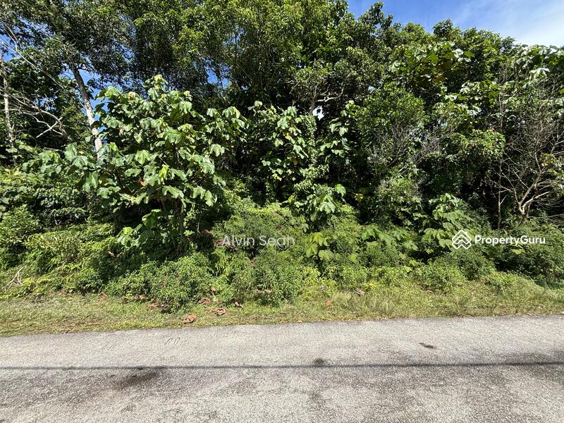 Untuk Dijual - Exevalley Orchard Park, Linggi, Pedas