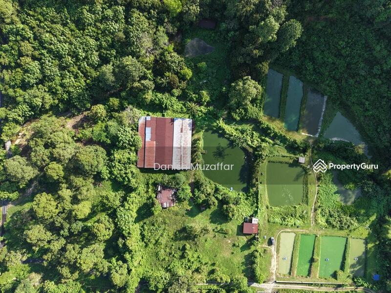 For Sale - Agriculture land at Kampung Sungai Choh