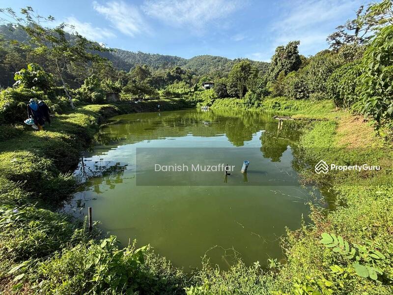 For Sale - Agriculture land at Kampung Sungai Choh
