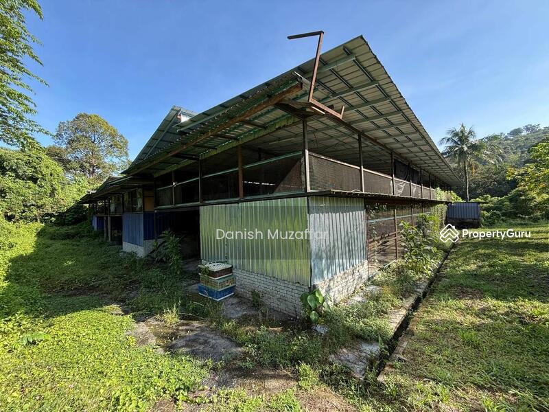 For Sale - Agriculture land at Kampung Sungai Choh