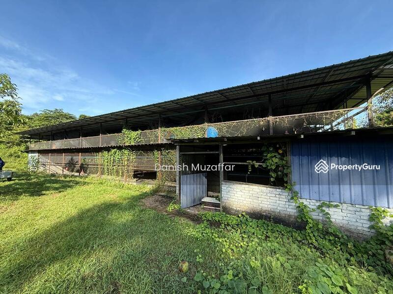 For Sale - Agriculture land at Kampung Sungai Choh