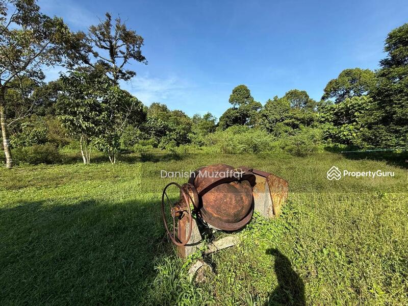 For Sale - Agriculture land at Kampung Sungai Choh