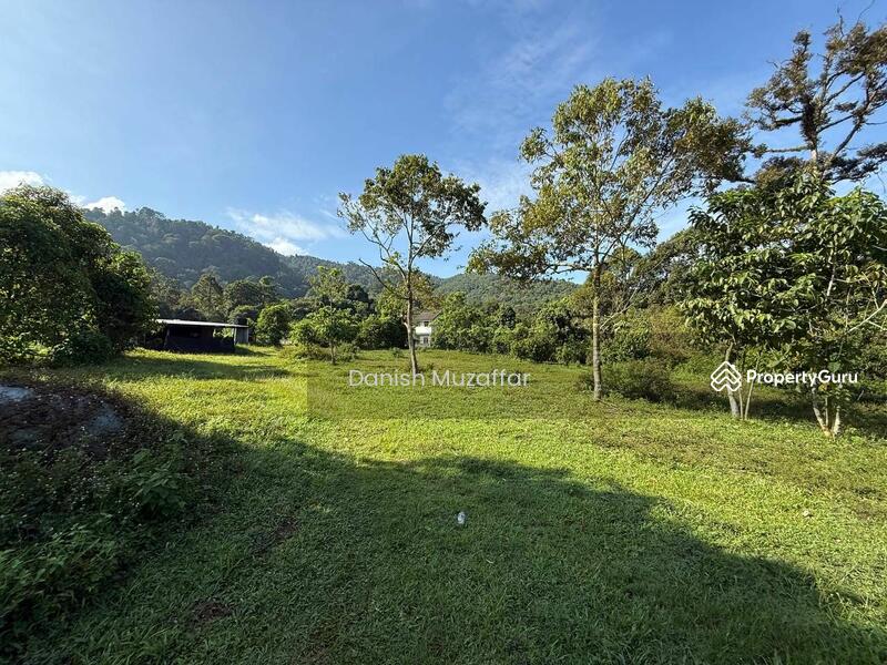 For Sale - Agriculture land at Kampung Sungai Choh