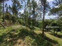For Sale - 9 Acres Freehold Agriculture Land with Agarwood Kuala Lipis
