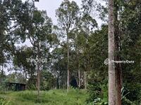 For Sale - 2.15 Acres Freehold Durian Farm Bandar Baru Kuala Lipis