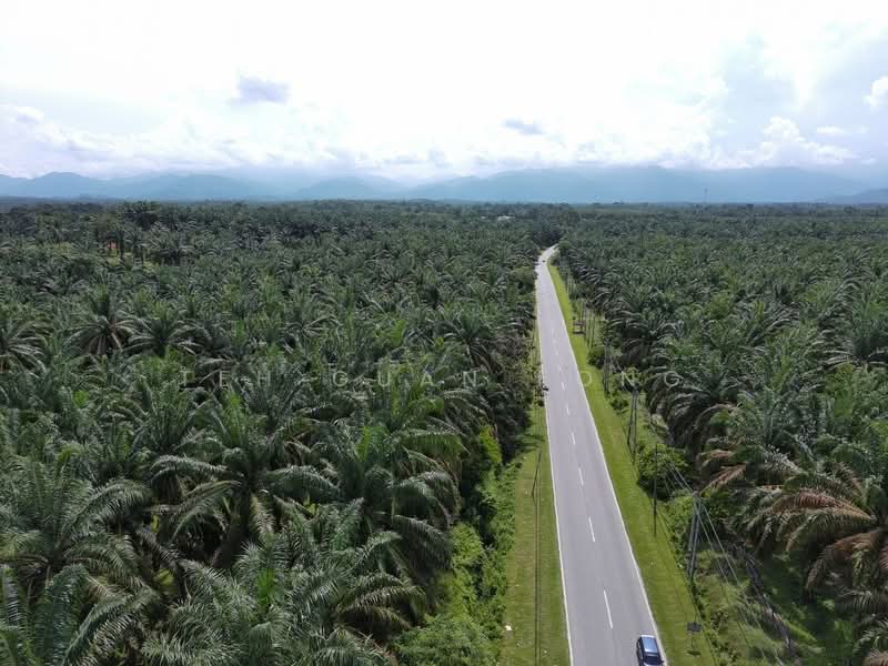 Tanah Pertanian untuk Dijual di Kampung Sungai Terap (Selama) - Teh Guan Fong - Exterior - PropertyGuru.com.my