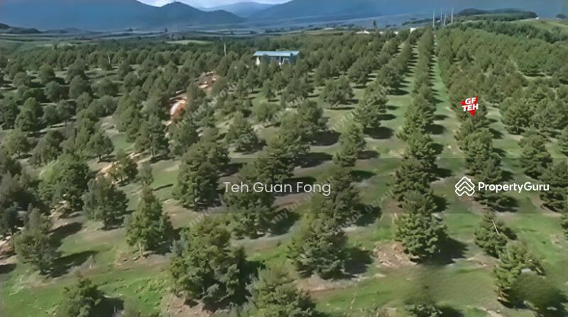 Tanah Pertanian untuk Dijual di Kampung Gajah (Sungkai) - Teh Guan Fong - PropertyGuru.com.my