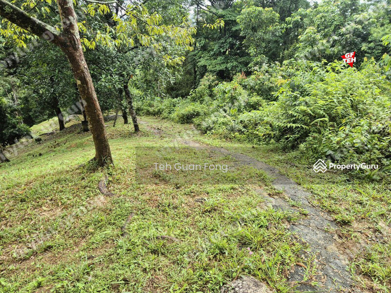Agricultural Land for Sale in Sungai Rambai (Bukit Mertajam) - Teh Guan Fong - PropertyGuru.com.my