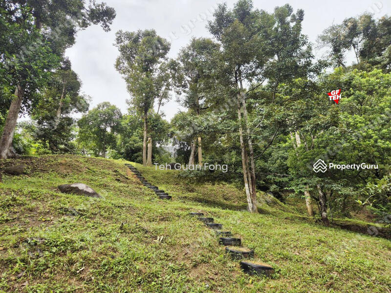 Untuk Dijual - 6.35acres Agricultural Land | Durian Farm | Sungai Lembu | BM | Penang Rm9psf b